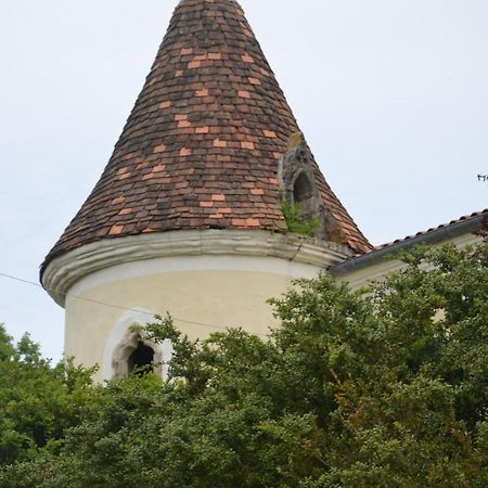 Chambres D'Hotes Du Chateau De Saint Sulpice La Sauvetat-sur-Lède 외부 사진